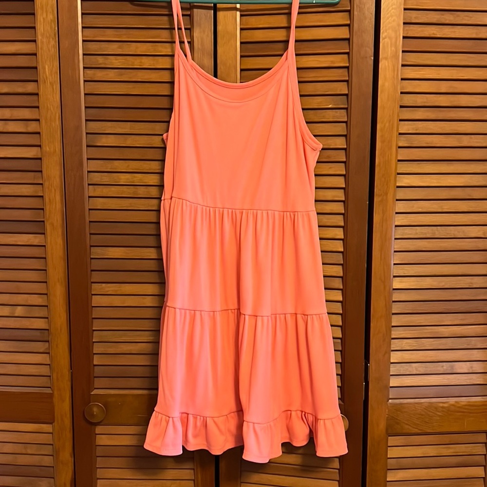 Peach Wild Fable Dress